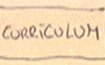 Curriculum Vitae